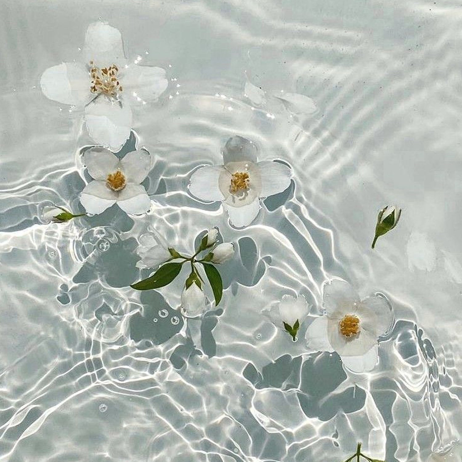 Acqua profumata e Acqua di colonia